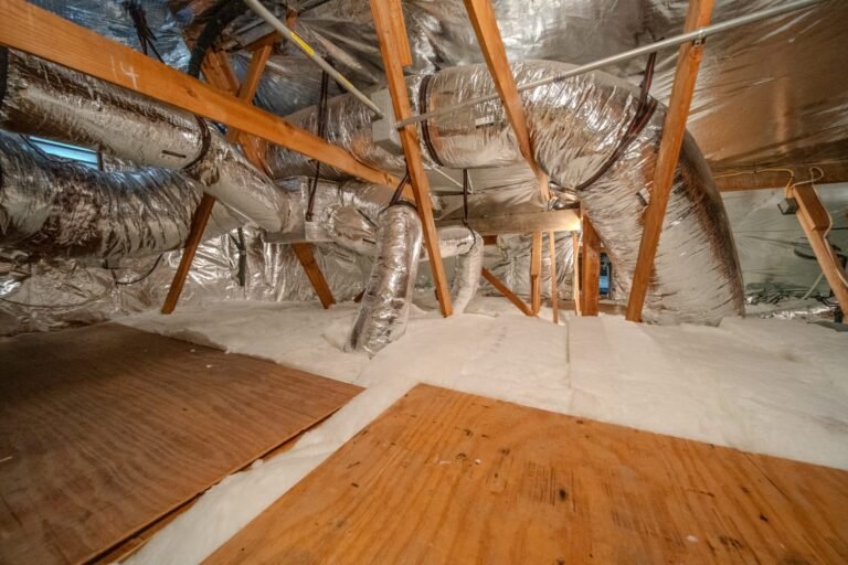 WhatsApp-Image-2025-10-18-at-21.09.16_e2e10264